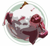 The Pit Bull Princess Logo