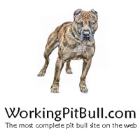 WorkingPitBull.com Logo links to website