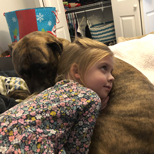 A little girl laying on her pitbull