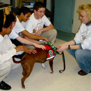 Annie, therapy dog with children petting here