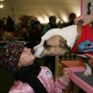 Grace, Therapy dog giving kisses to a little girl with a black hat and pink jacket