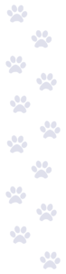 12 blue pawprints